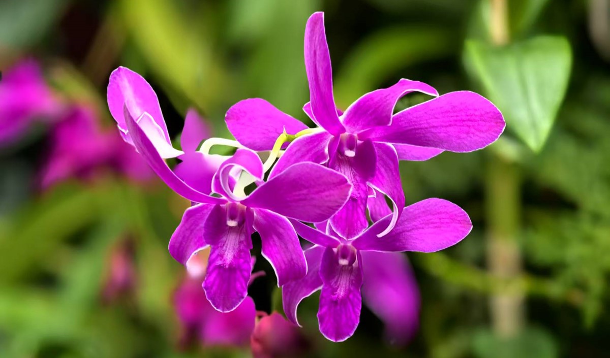 農資公司打造自有品牌全方位策略-美御