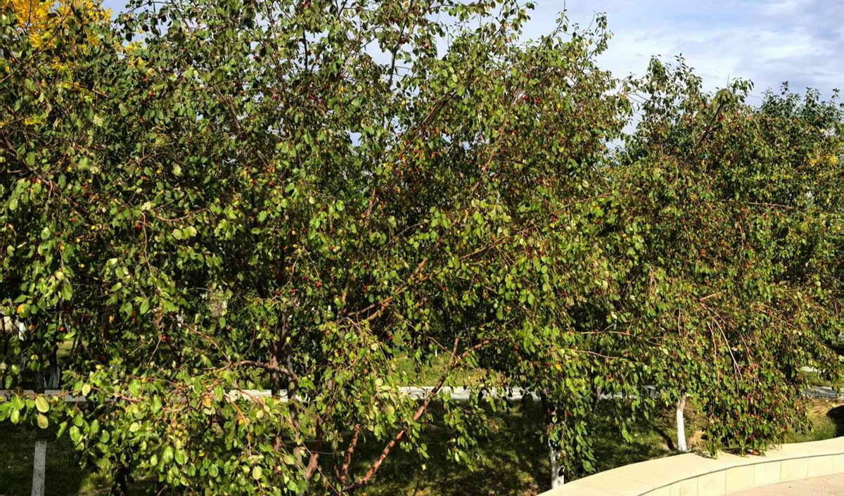 品牌策劃公司能給農業公司帶來哪些價值